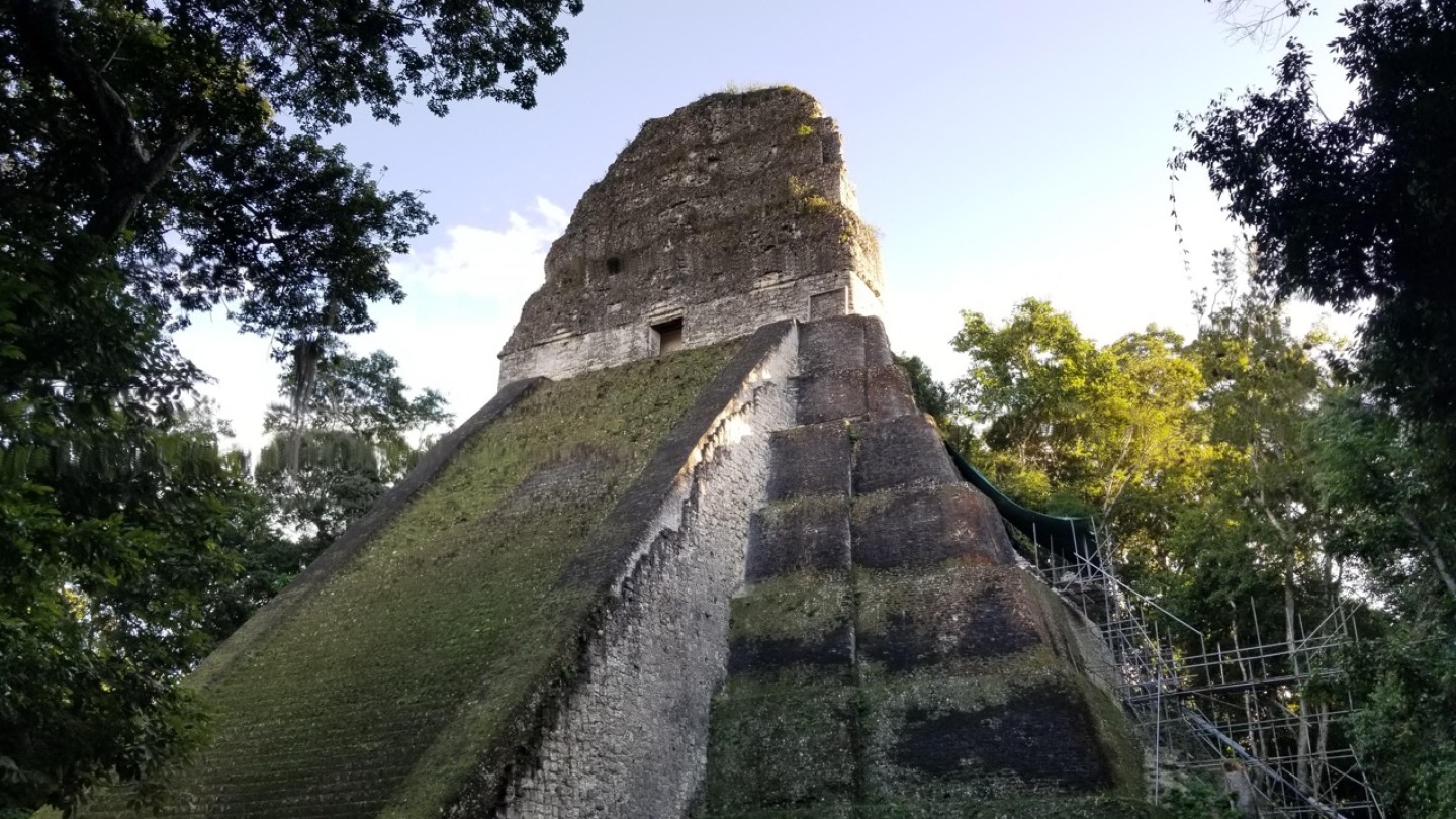 ＥＸＰＥＤＩＴＩＯＮ ＴＥＭＰＬＥＳ ＯＦ ＴＨＥ ＭＡＹＡ　マヤ神殿発掘キット 新・世界七不思議、チチェン・イッツァの謎──マヤ文明の大都市は